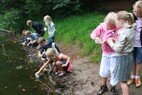 Bos activiteiten  